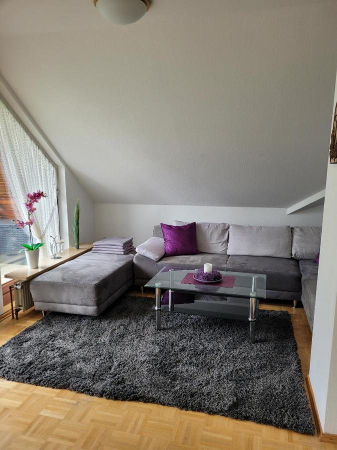 Ferienwohnung Holzberger Goslar Dış mekan fotoğraf